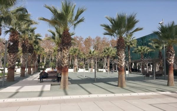 Malaga Harbour - 6 things to do in Malaga in Spring